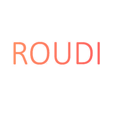 ROUDI