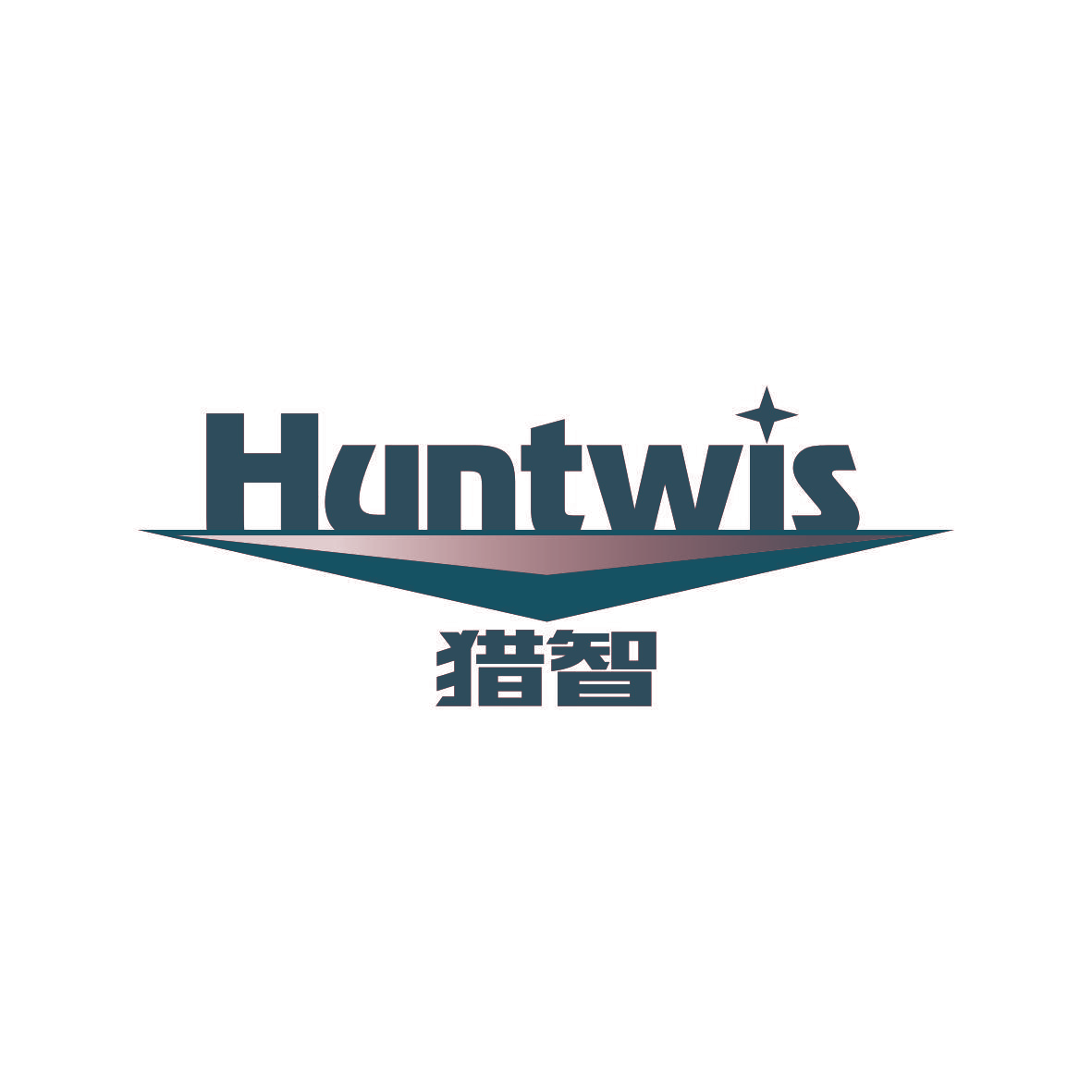 猎智 HUNTWIS
