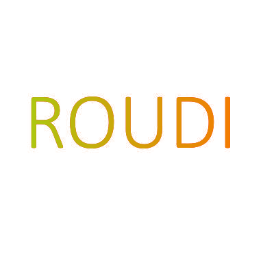 ROUDI