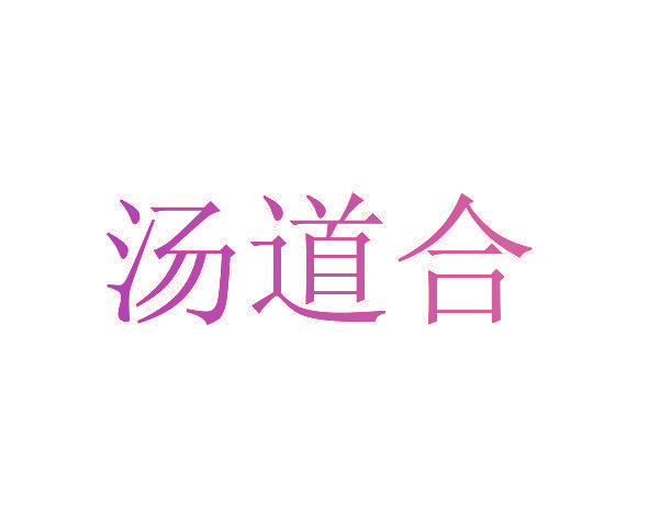 汤道合