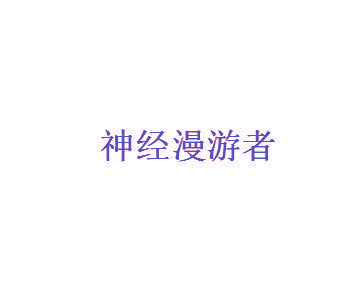 神经漫游者