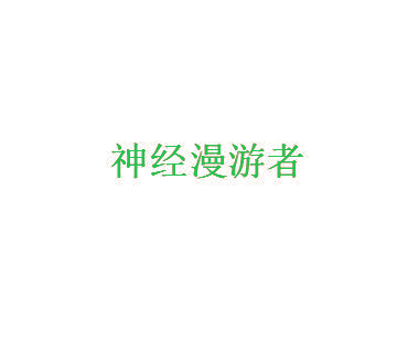 神经漫游者