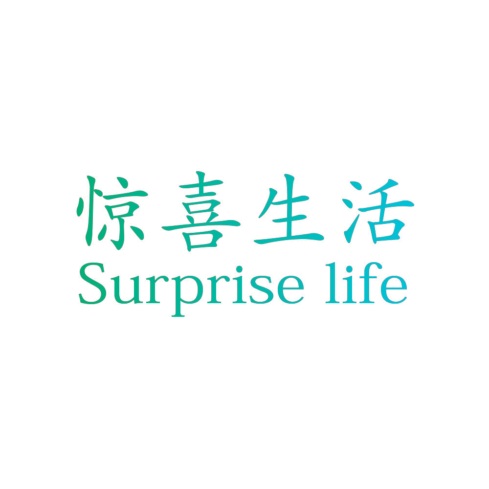惊喜生活 SURPRISE LIFE
