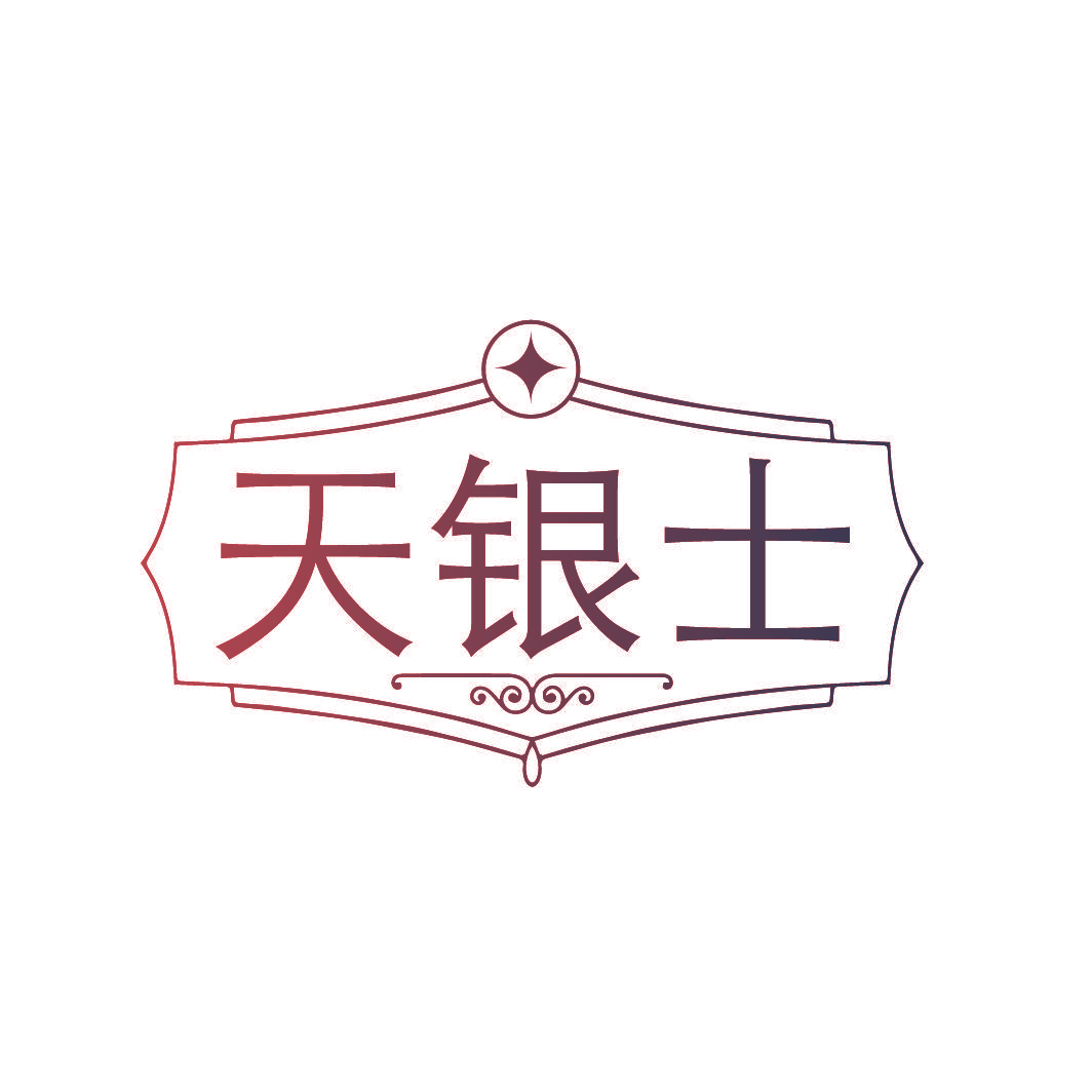 天银士