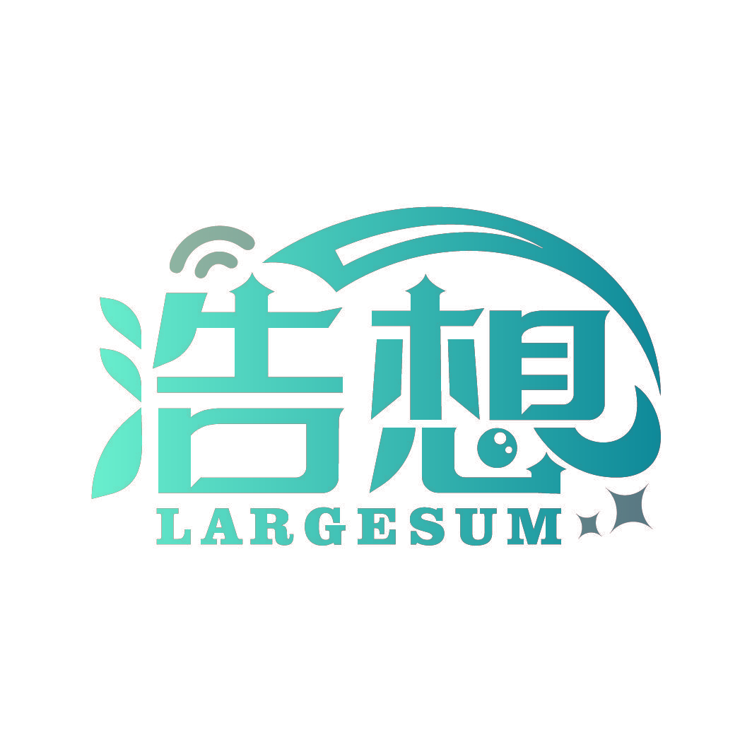 浩想 LARGESUM