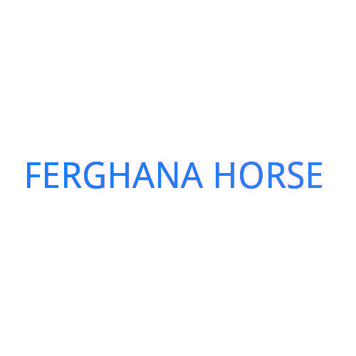 FERGHANA HORSE