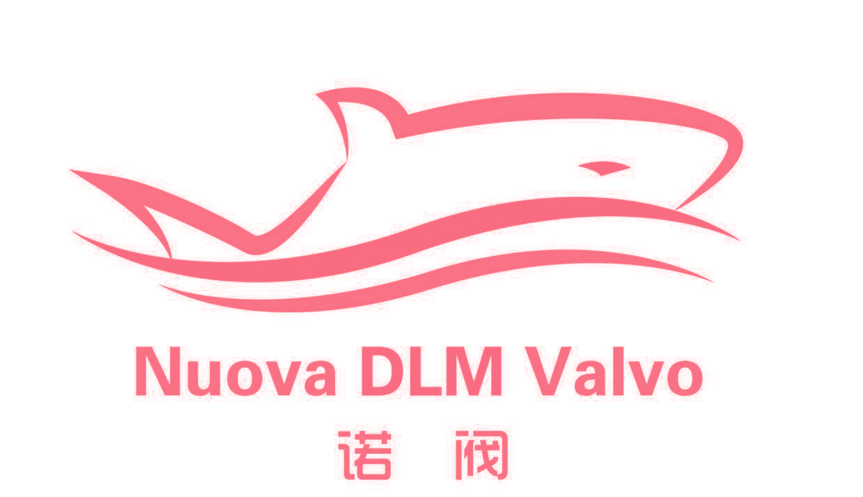 诺阀 NUOVA DLM VALVO