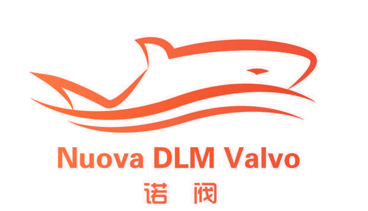 诺阀 NUOVA DLM VALVO