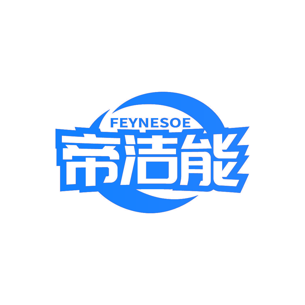 帝洁能 FEYNESOE