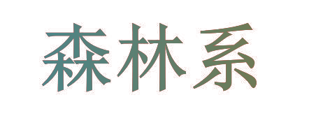 森林系