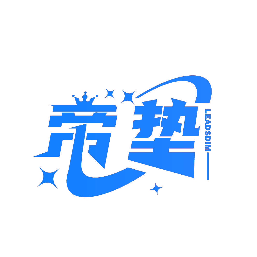 帝垫 LEADSDIM