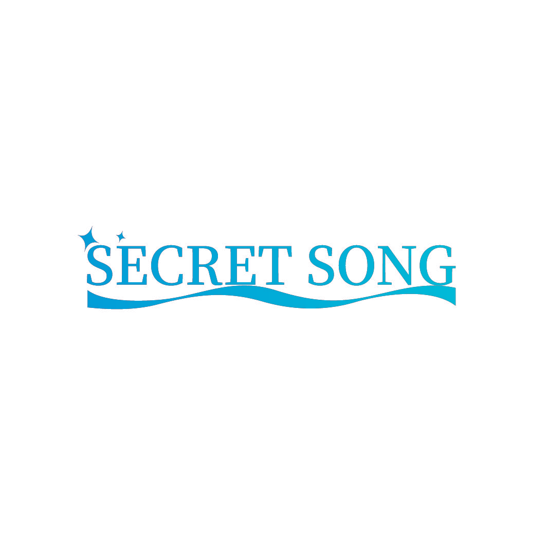 SECRET SONG