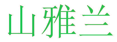 山雅兰