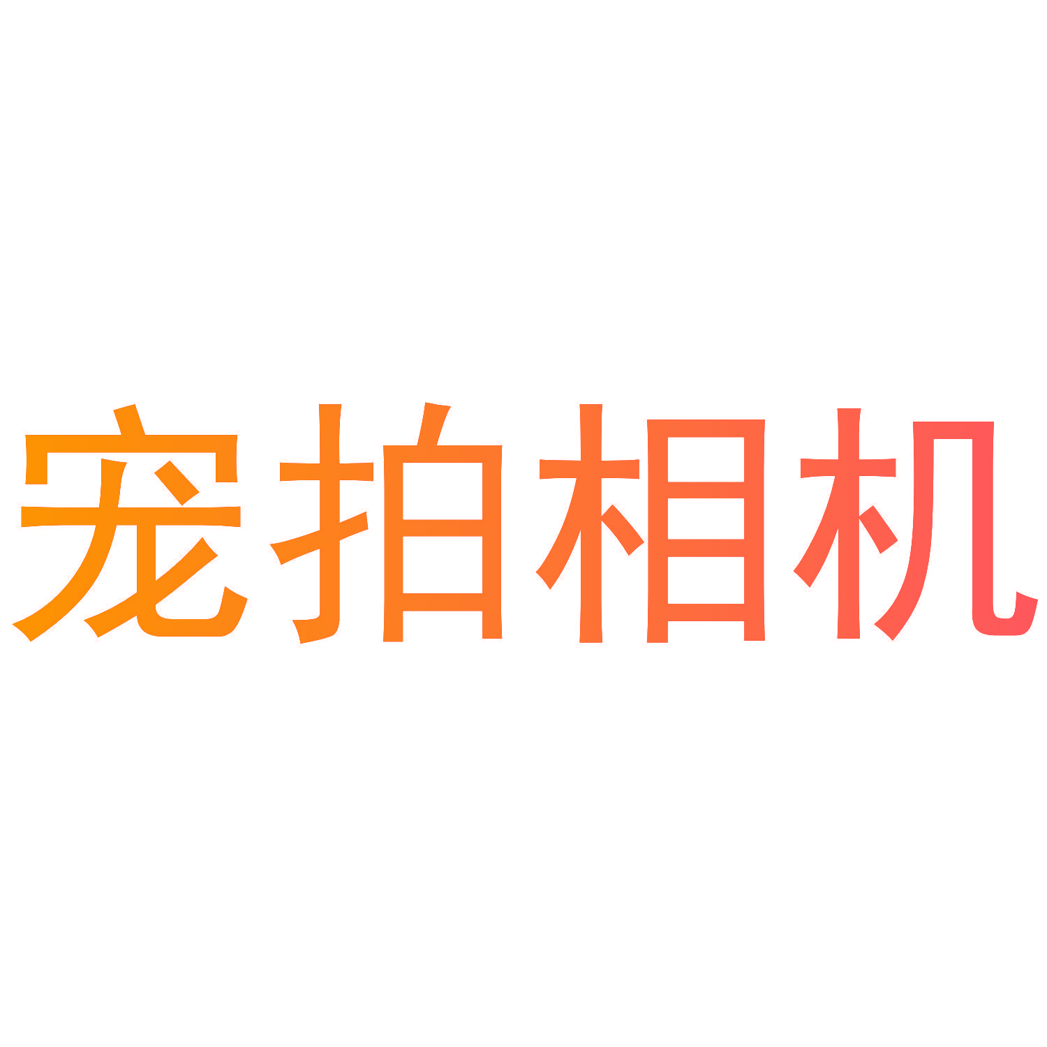 宠拍相机