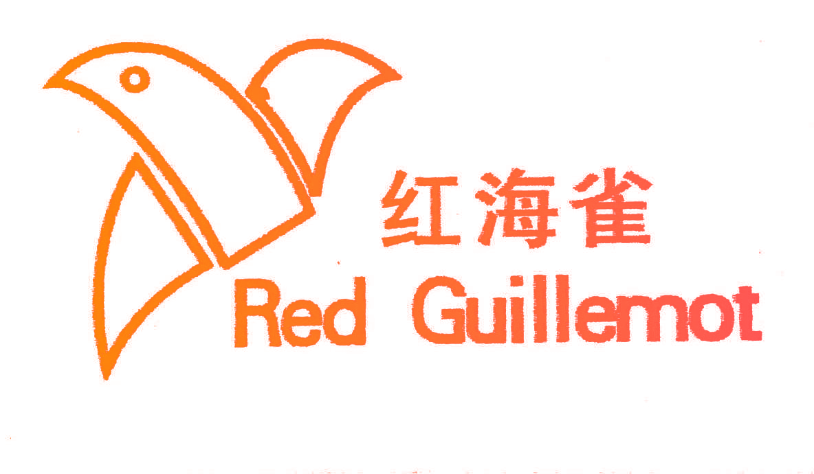 红海雀;RED GUILLEMOT