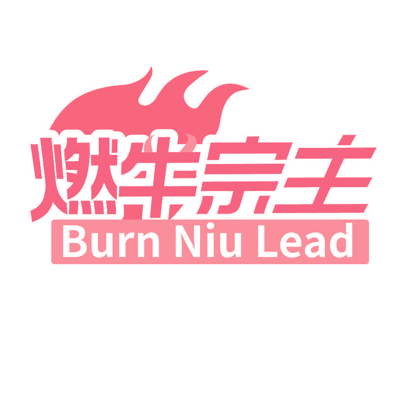 燃牛宗主 BURN NIU LEAD