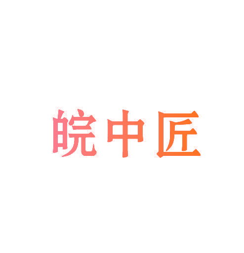 皖中匠