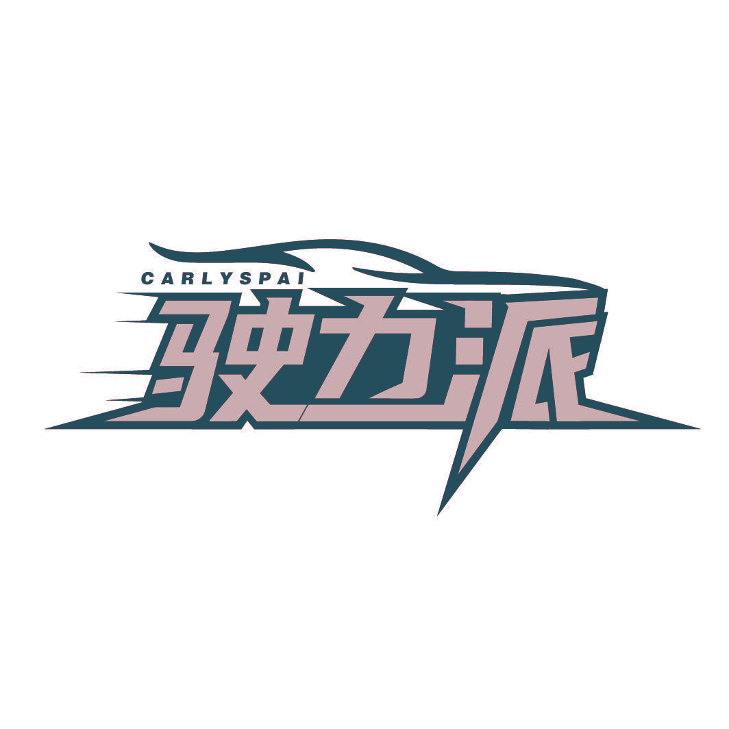 驶力派 CARLYSPAI