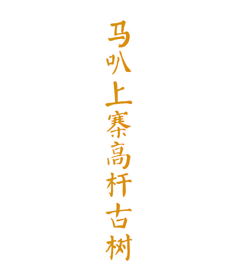 马叭上寨高杆古树