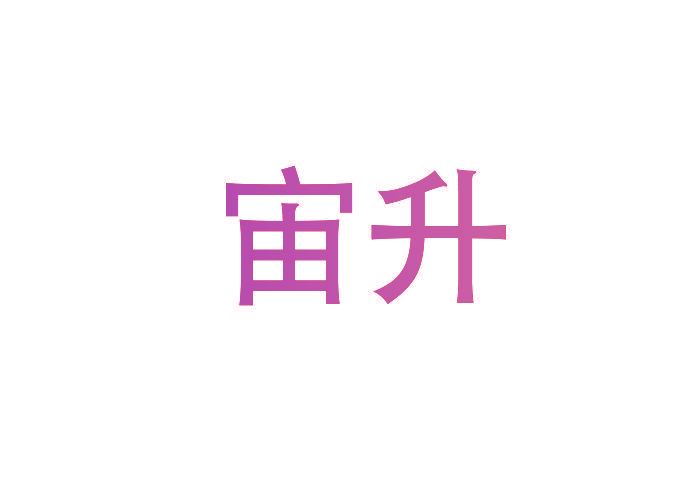 宙升