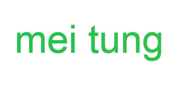MEI TUNG