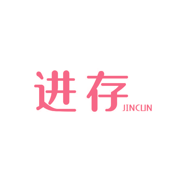 进存