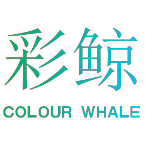 彩鲸 COLOUR WHALE