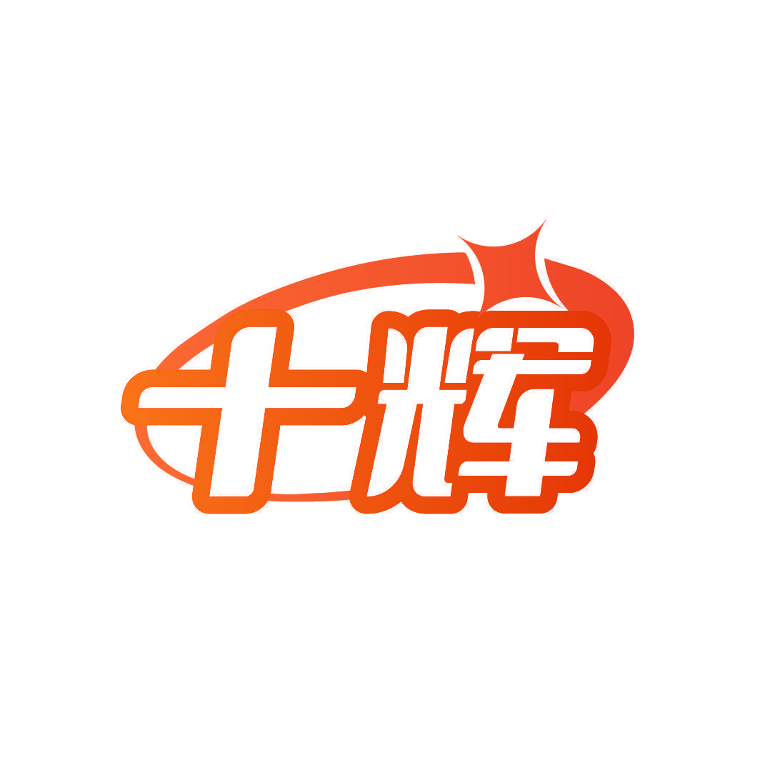 十辉