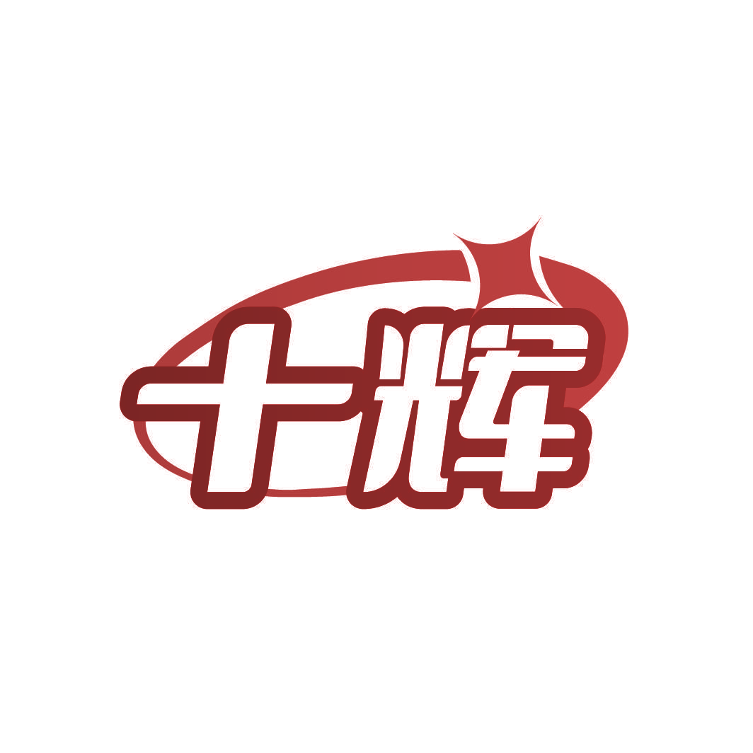 十辉