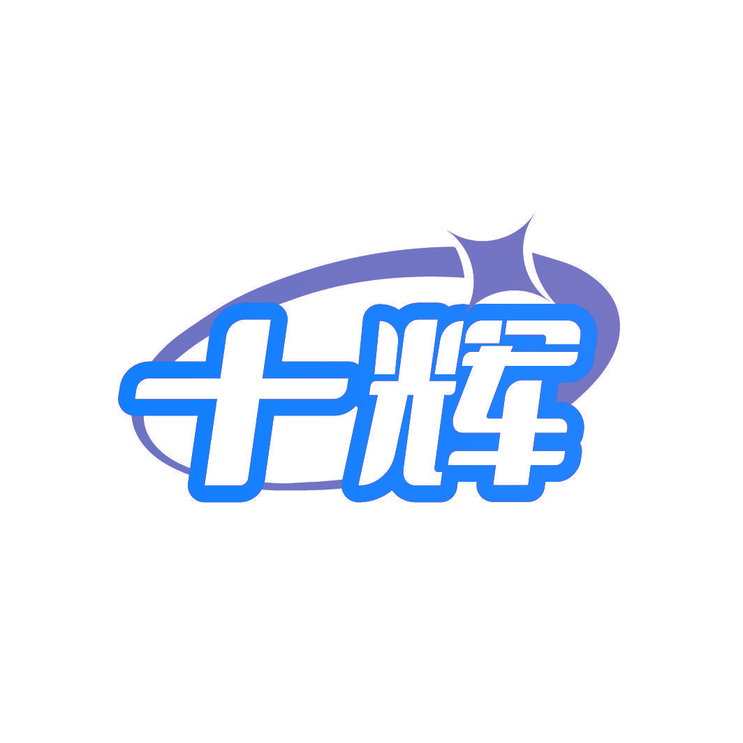 十辉