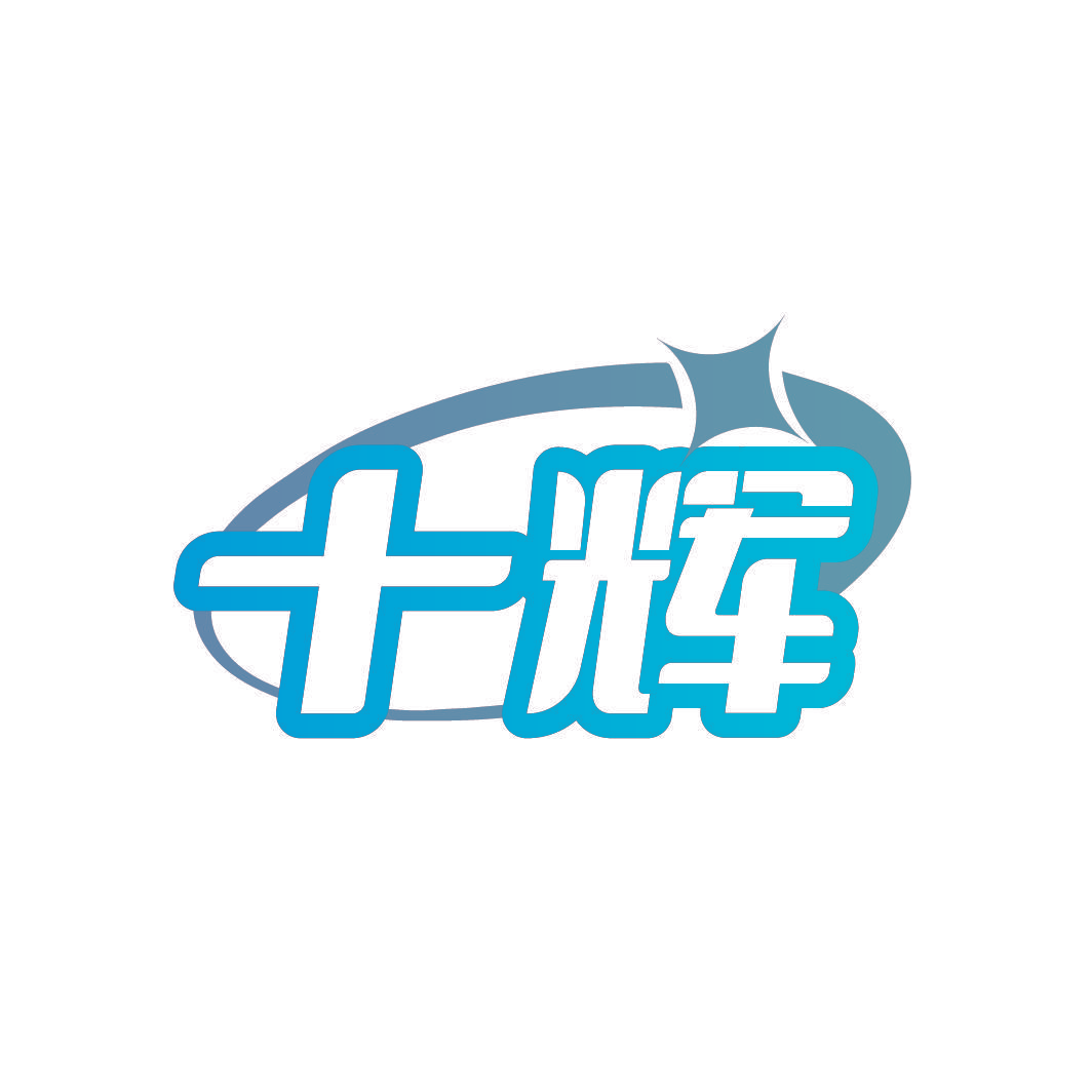 十辉
