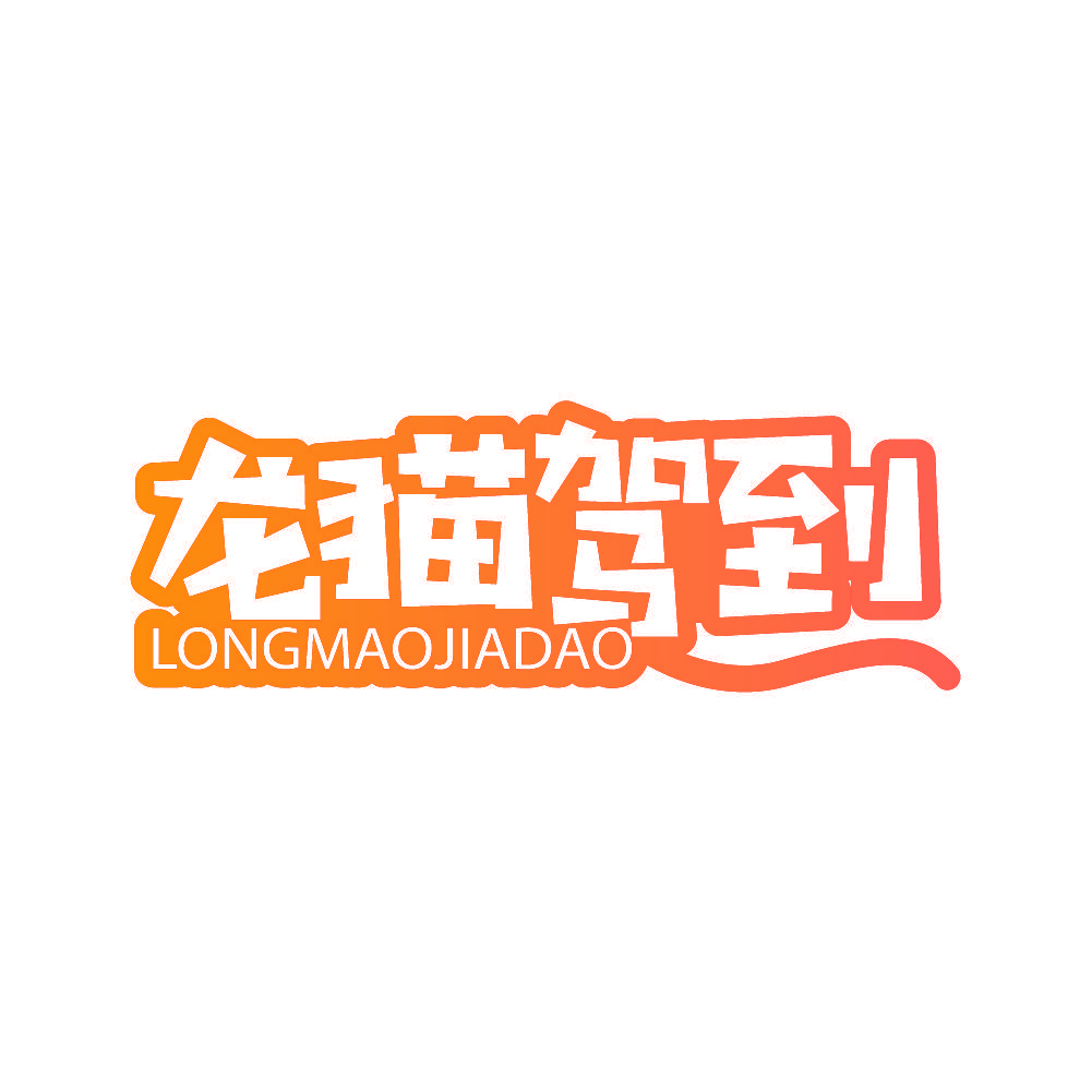 龙猫驾到