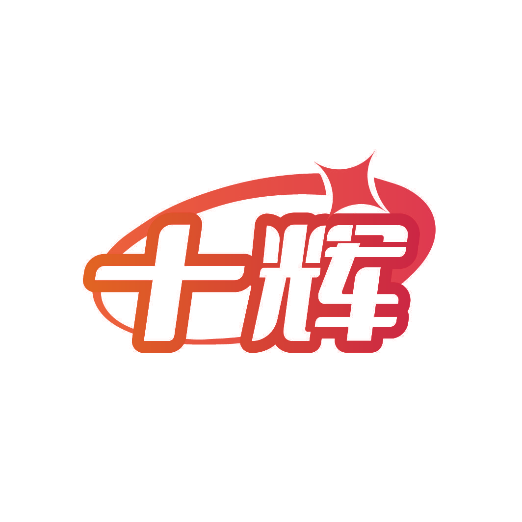 十辉