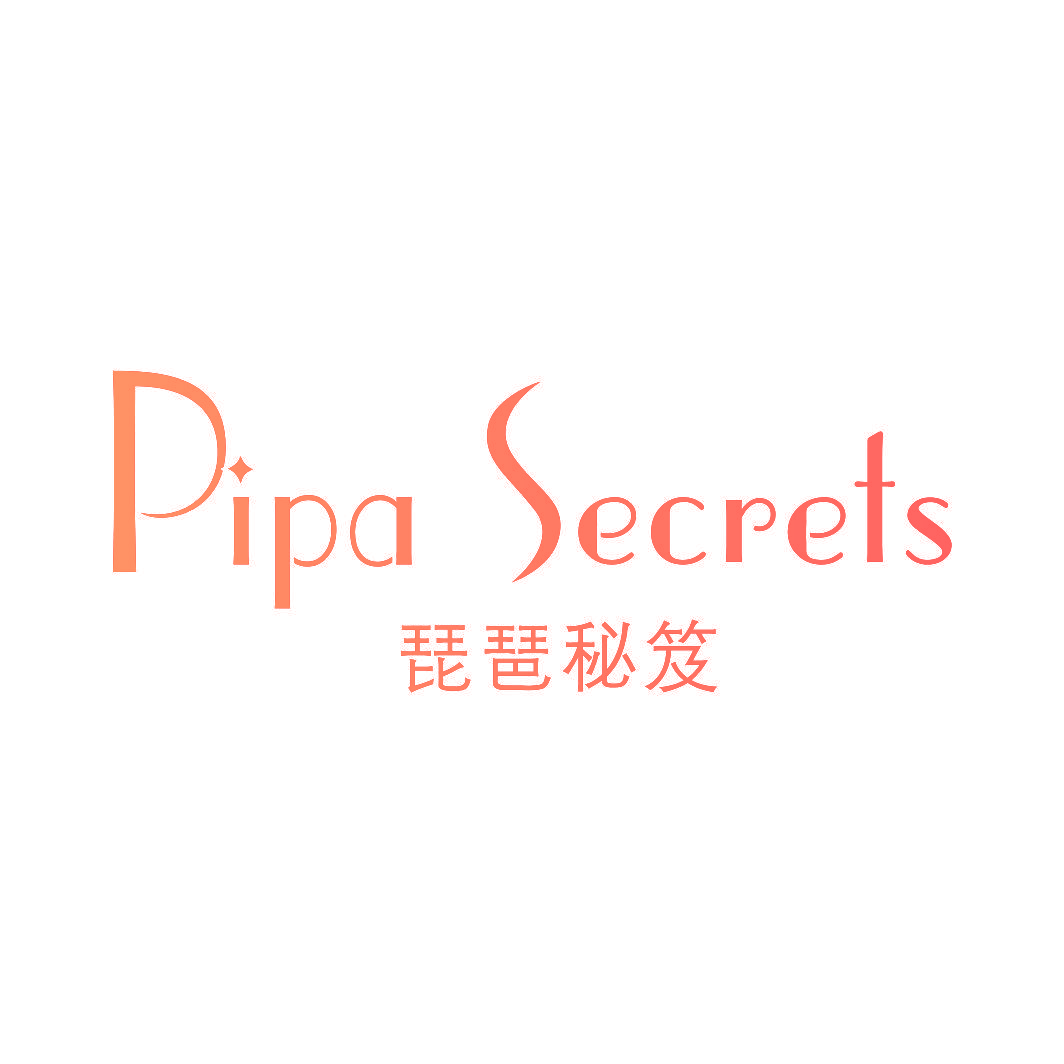 琵琶秘笈 PIPA SECRETS