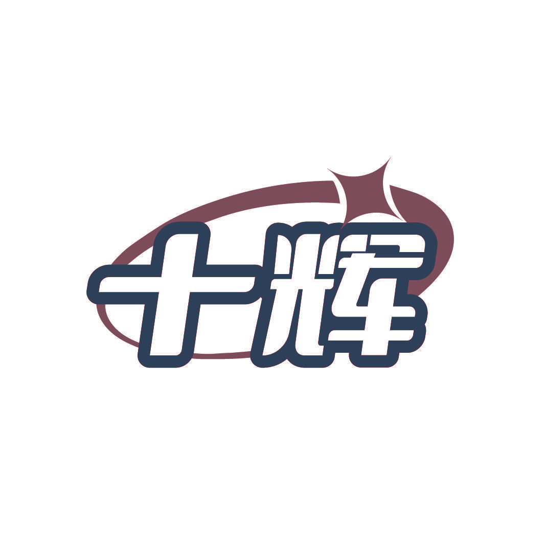 十辉