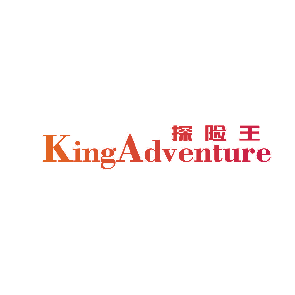 探险王 KING ADVENTURE