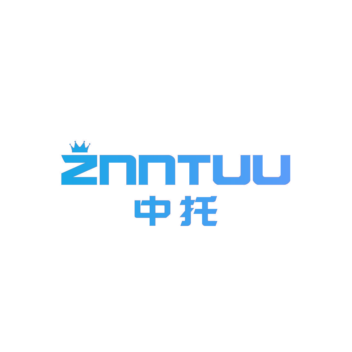 中托 ZNNTUU