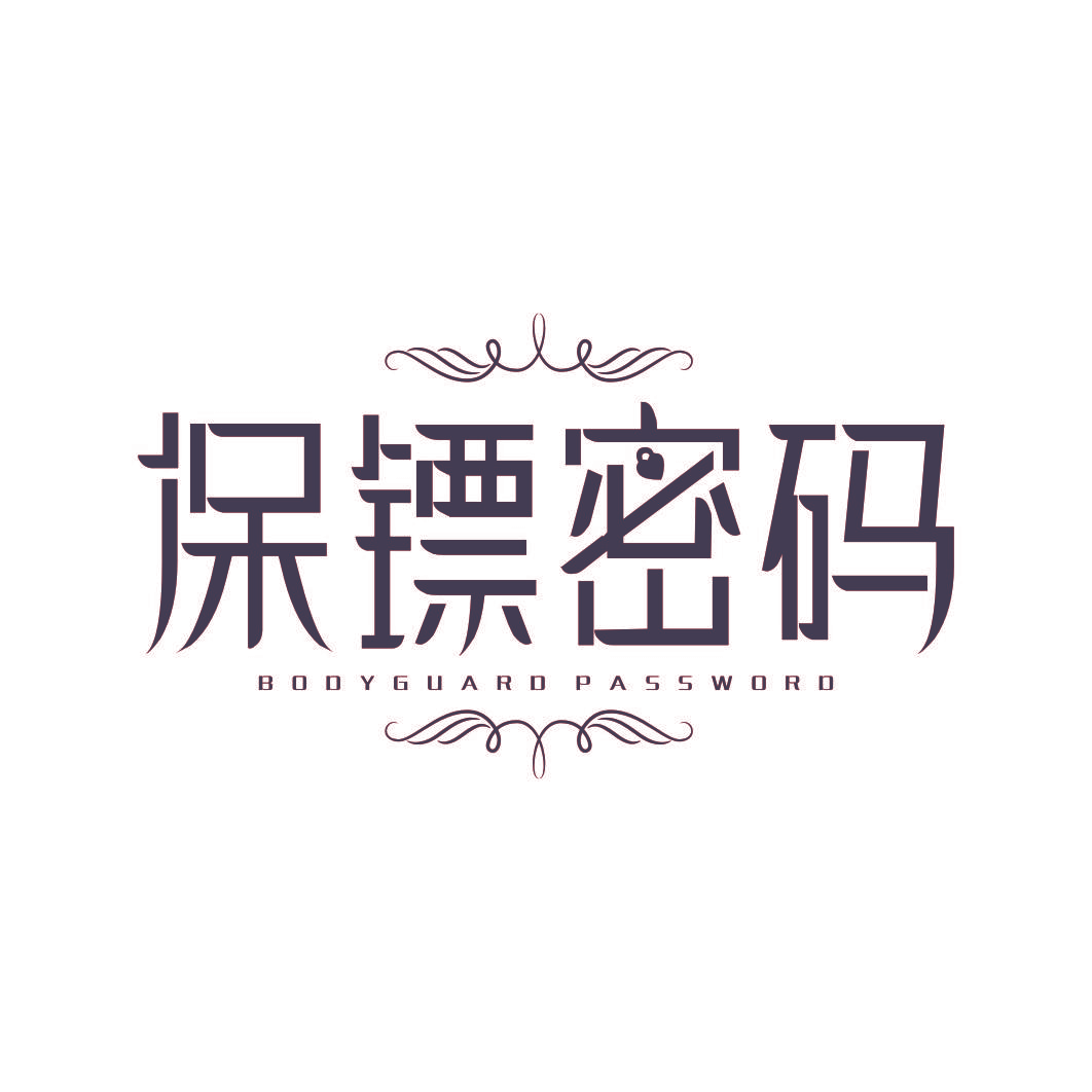 保镖密码 BODYGUARD PASSWORD