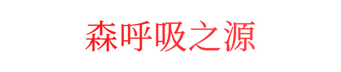 森呼吸之源
