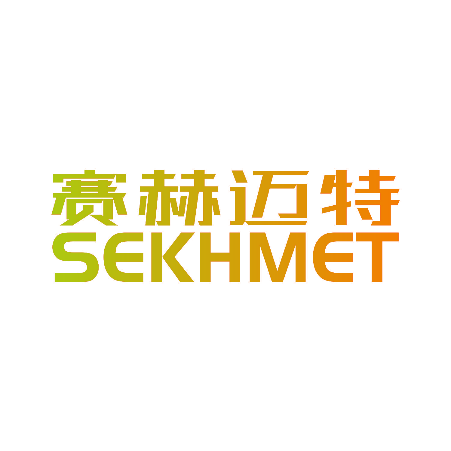赛赫迈特 SEKHMET