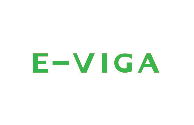 E-VIGA
