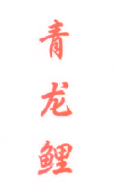 青龙鲤