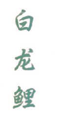 白龙鲤