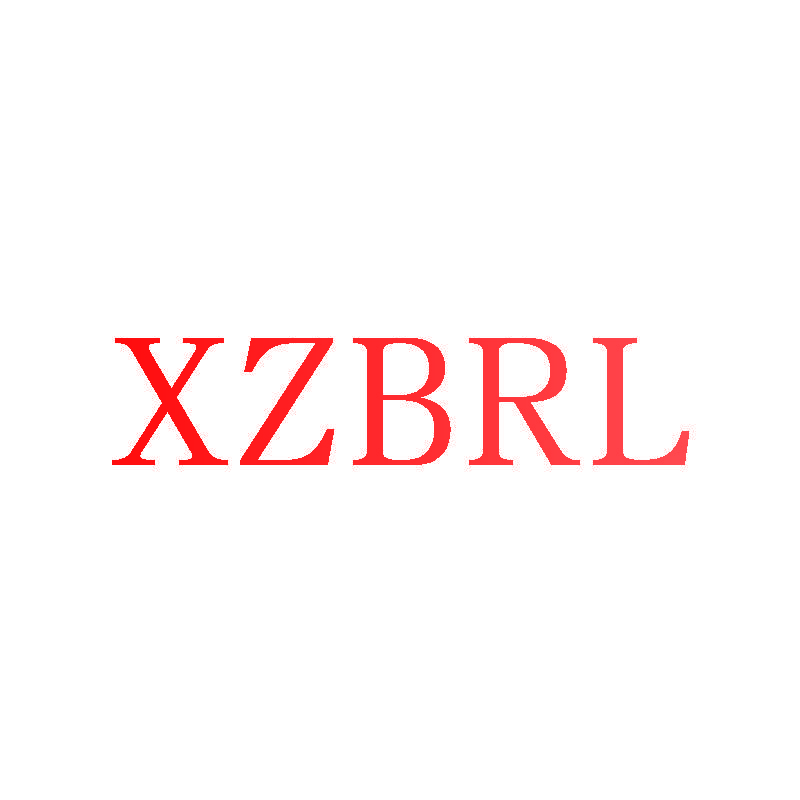 XZBRL