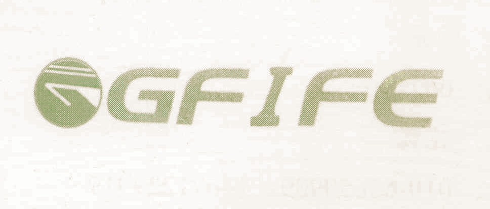 GFEIFE