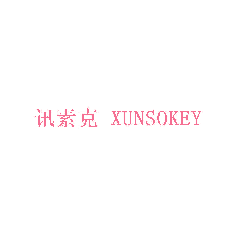 讯素克 XUNSOKEY