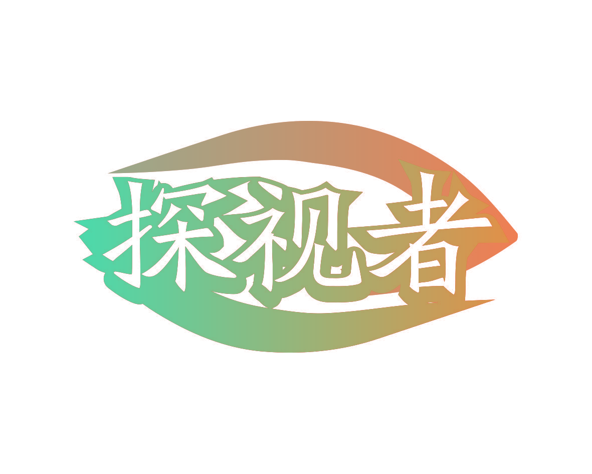 探视者