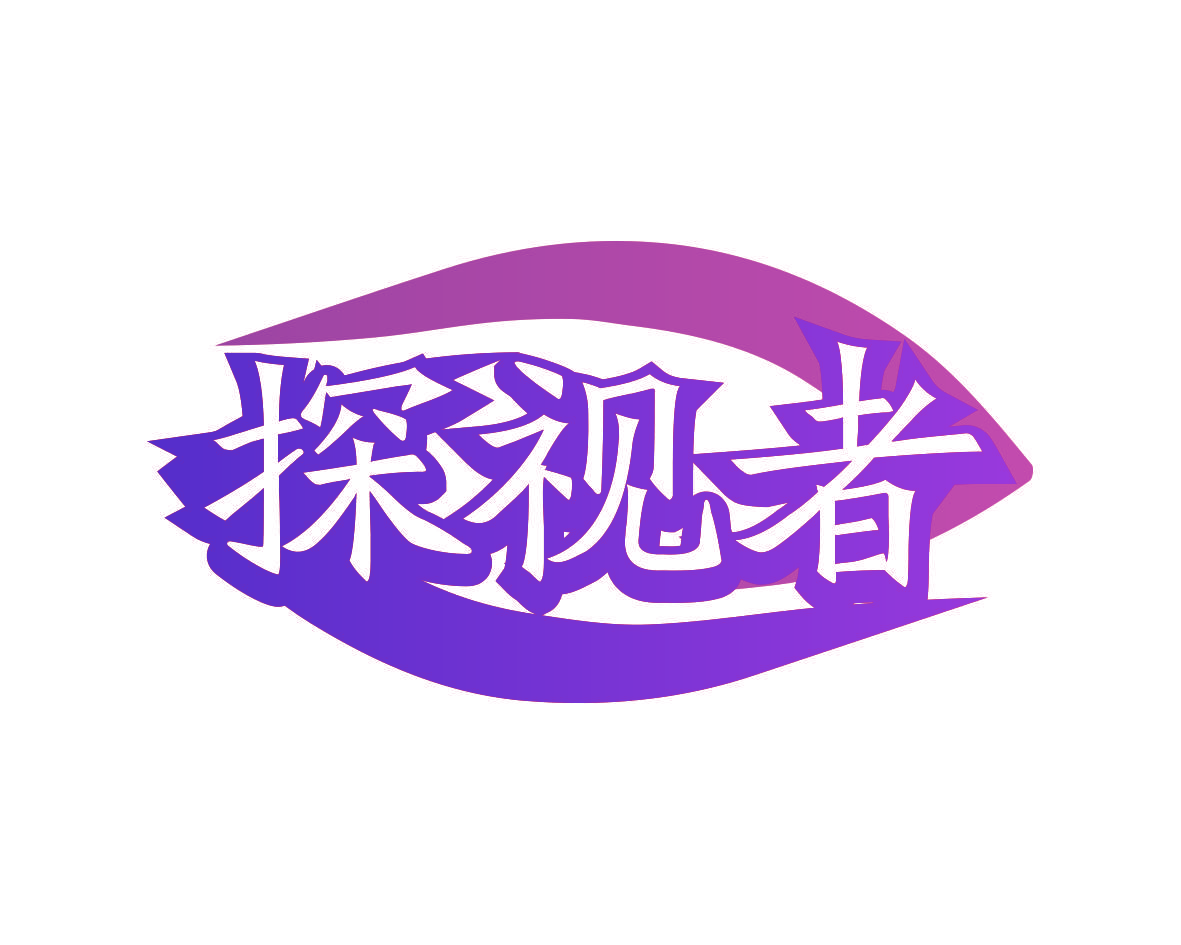 探视者