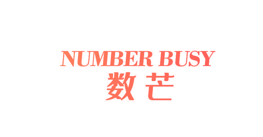 NUMBER BUSY 数芒