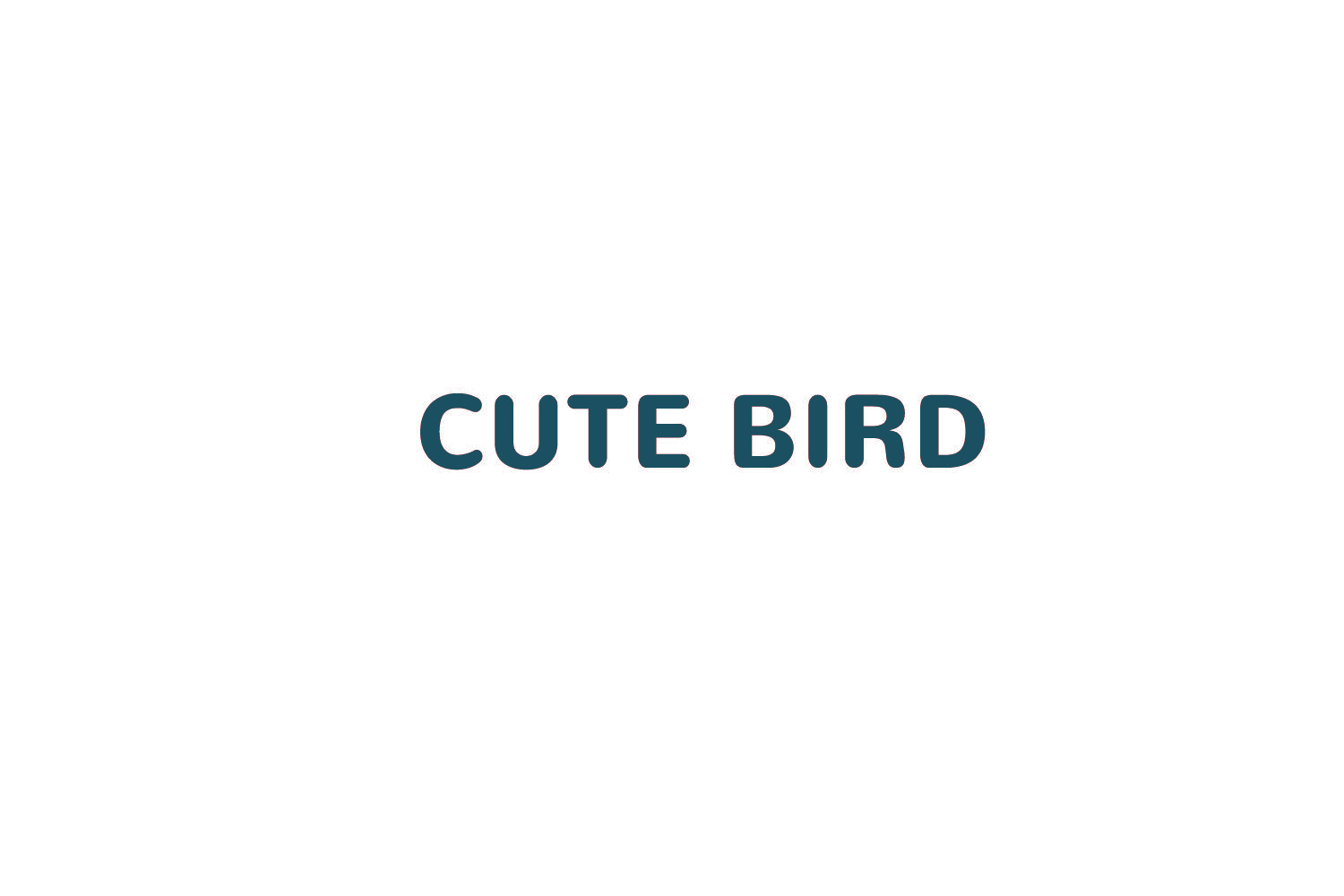 CUTE BIRD